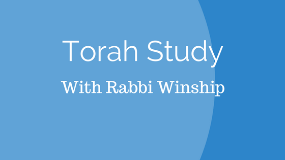 torah-study-banner